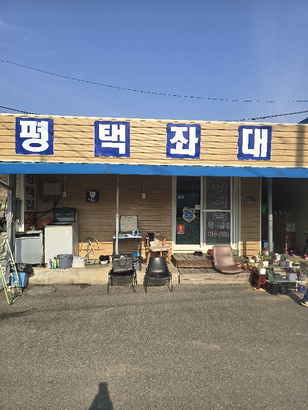 송전지 평택좌대