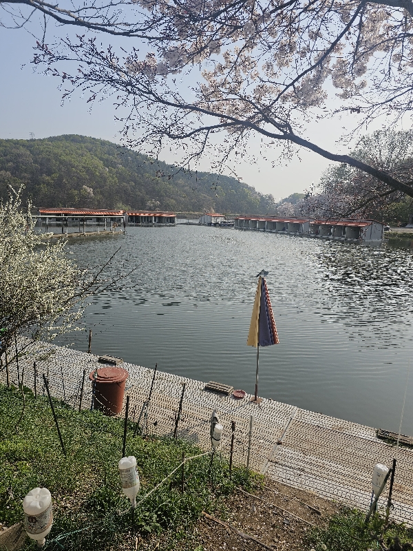송라낚시터