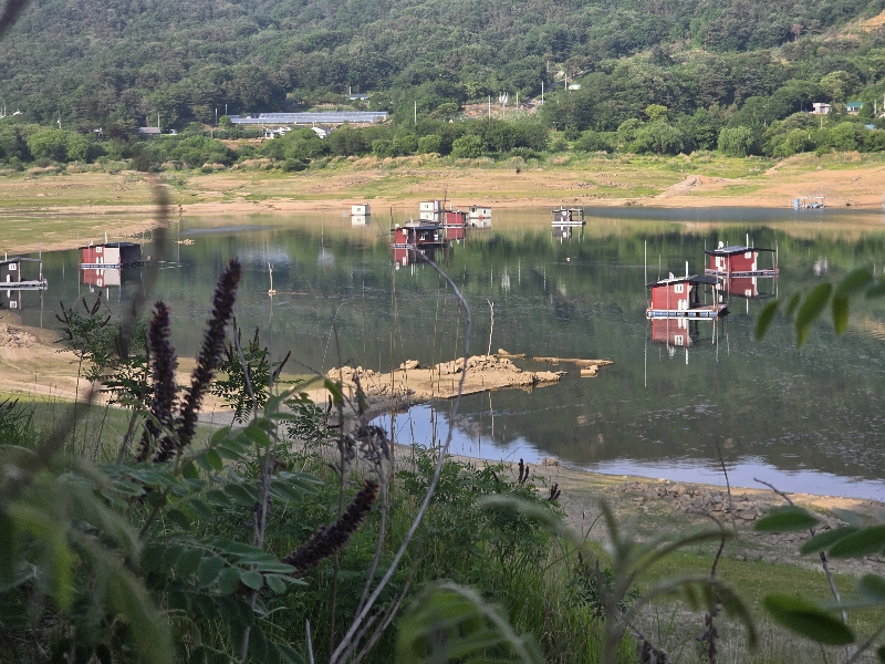 충주호 솔낚시터