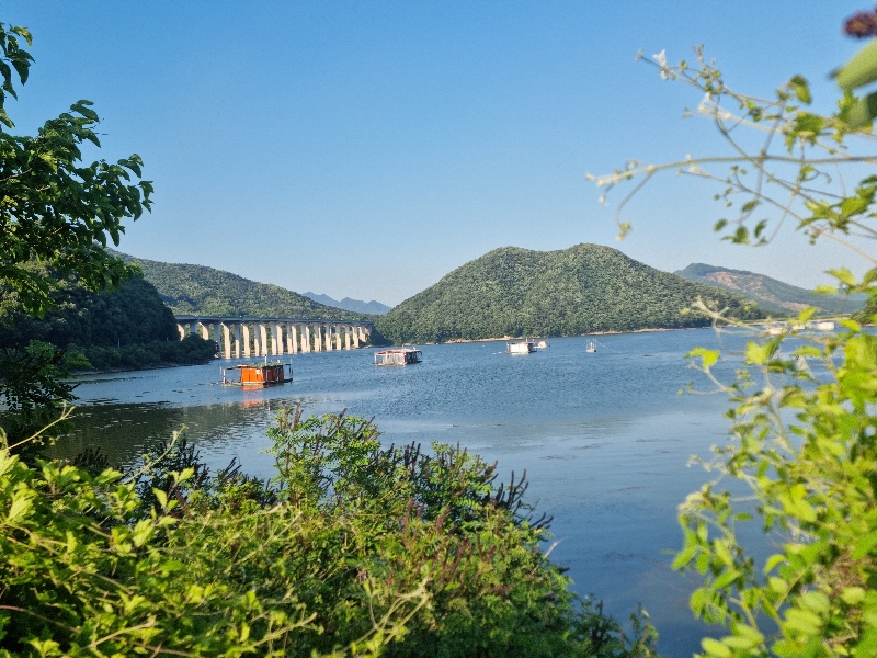 용원낚시터(용당)