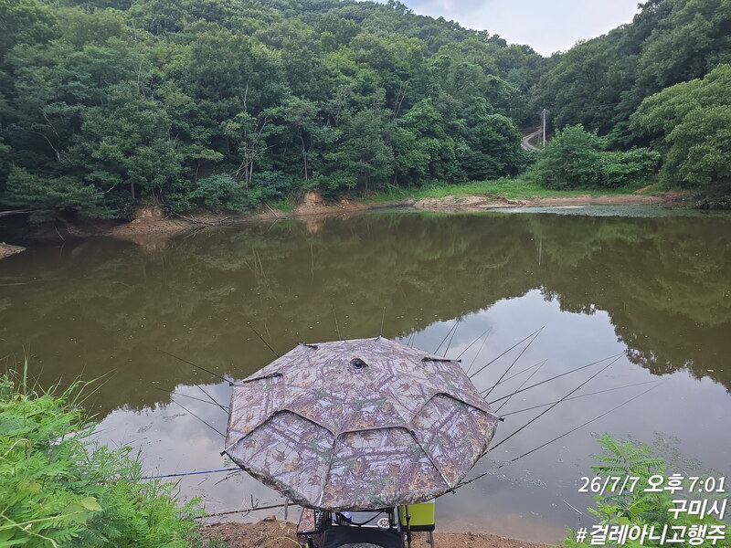 걸레아니고행주
