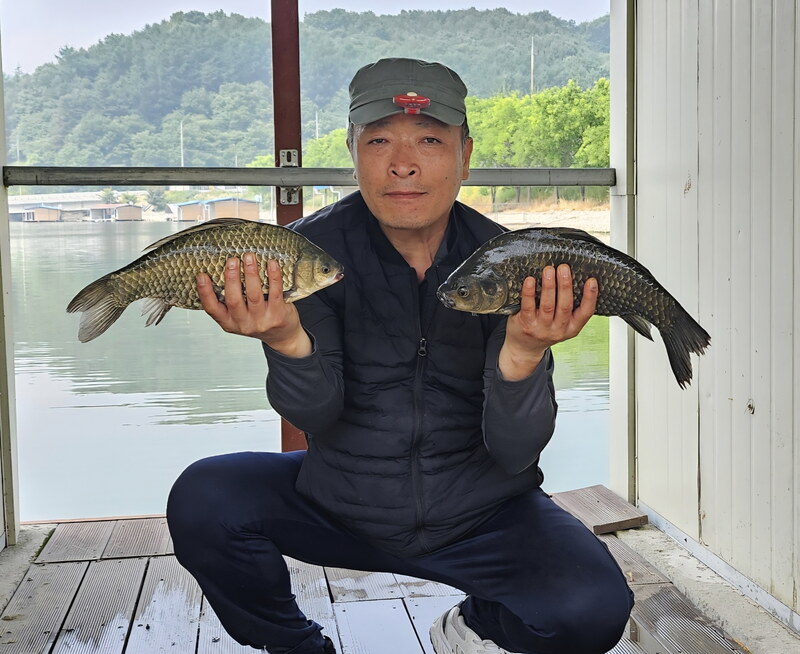가로수