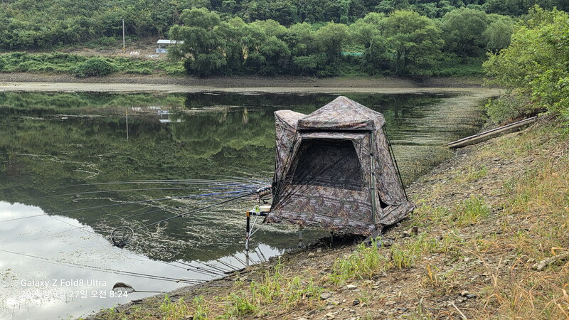 포항tft