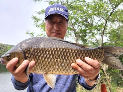 지감독님