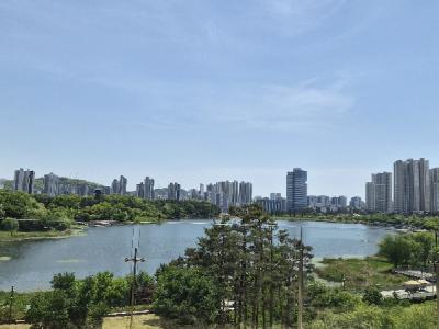 나무늘보