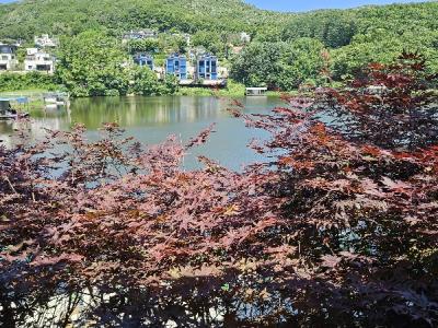 산장낚시터(양지)