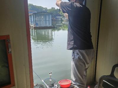 신갈김태공