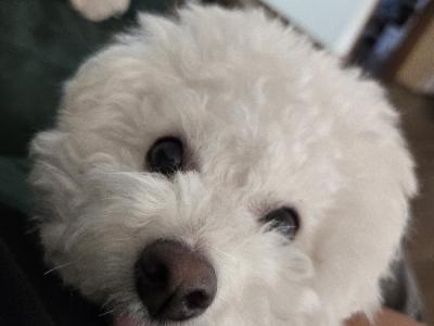 낚초