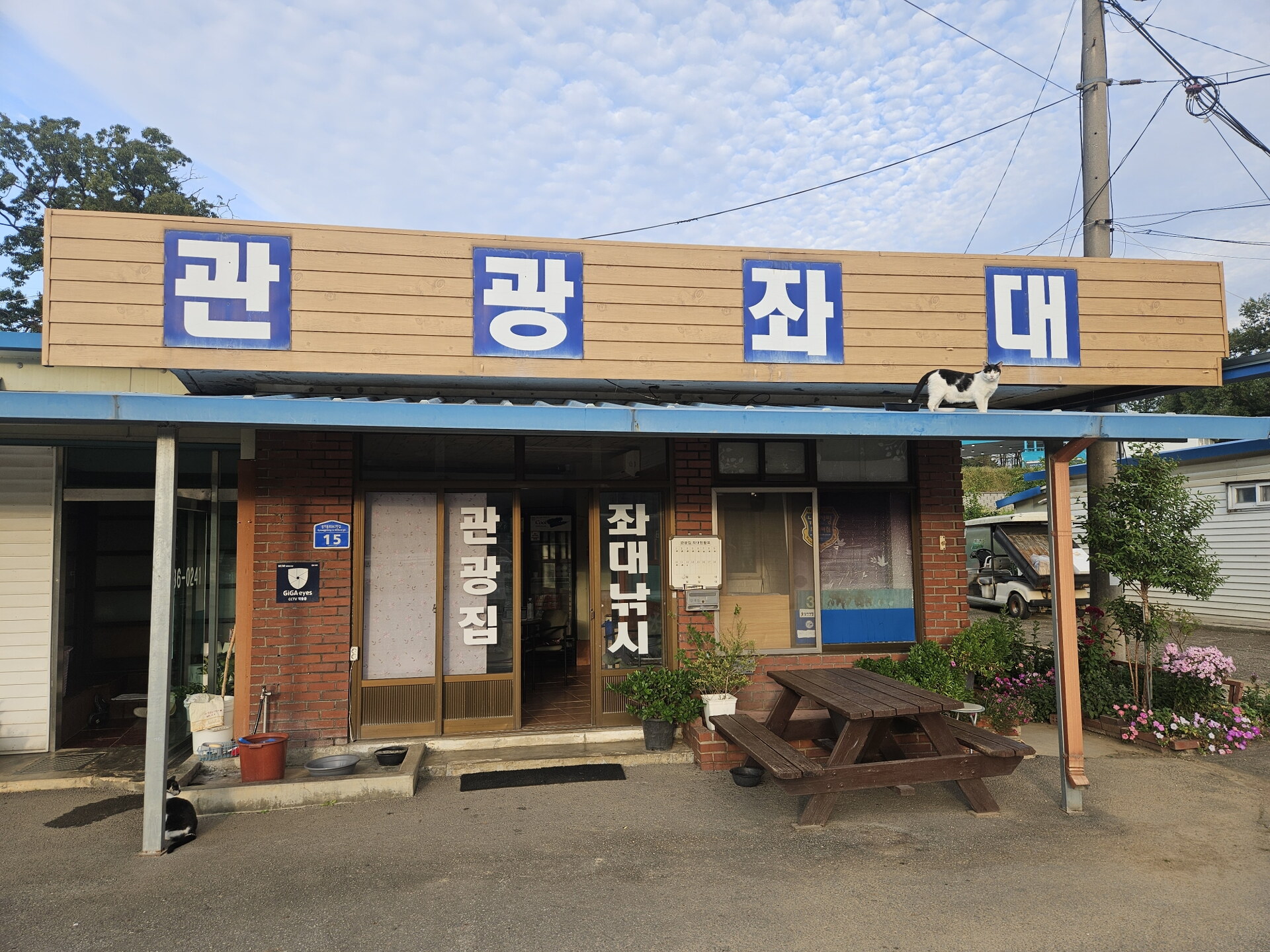 송전지 관광좌대