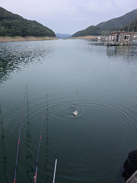 붕어
