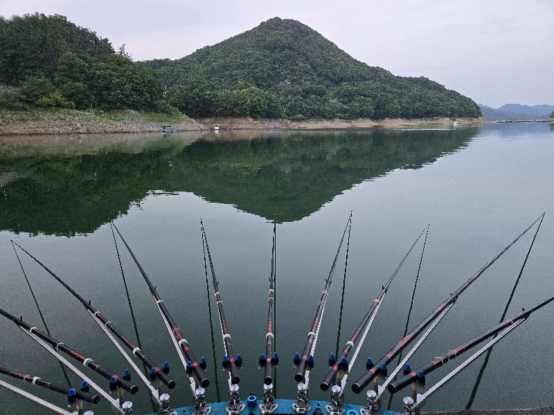 갈수기 최강자 목벌