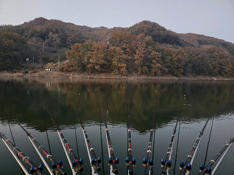 만추의 충주호