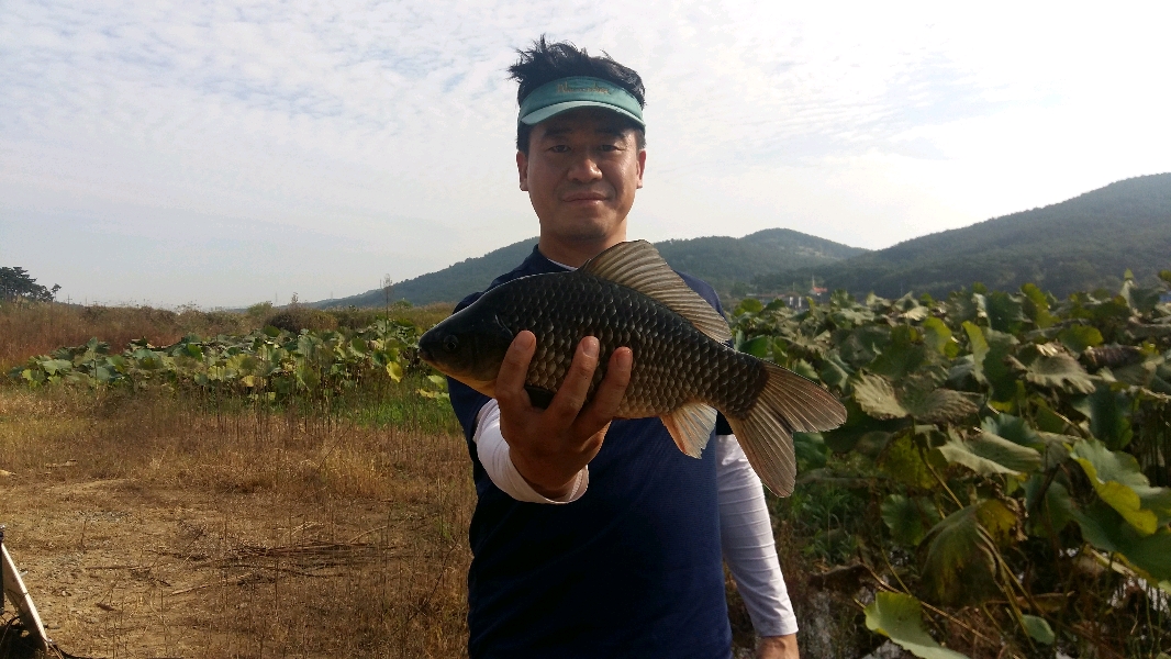 명불허전 풍전지