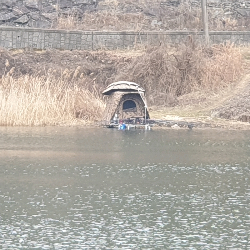 내고향
