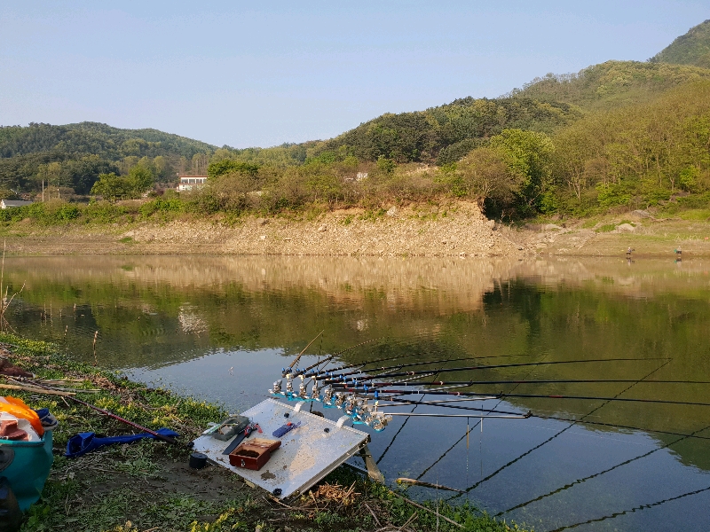 충주호 명서 노지