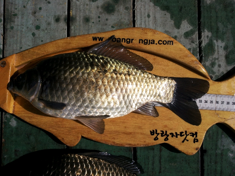 초봄 송전 나들이