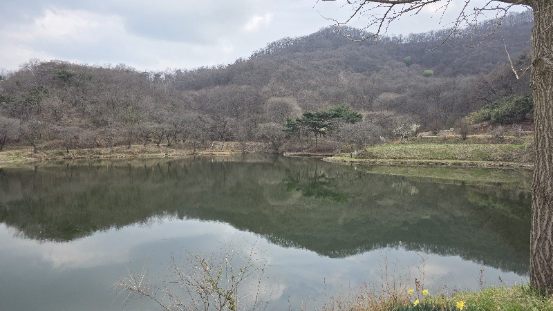 안국지낚시터