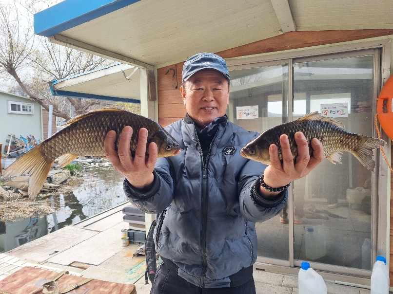 마릿 수 조황