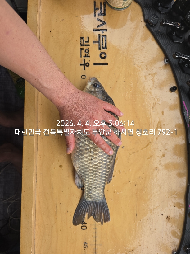 Fish catch