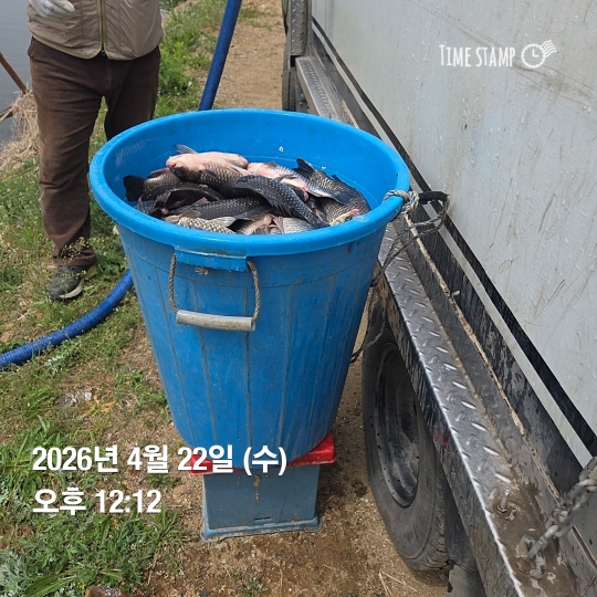 한터낚시터 방류소식