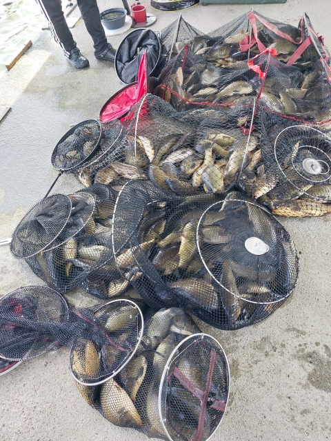 반제낚시터 조황정보