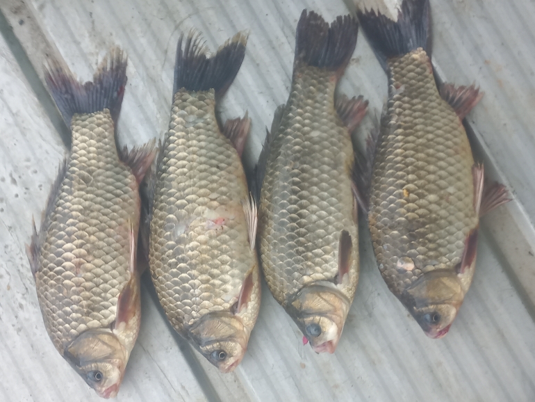 주말조항정보