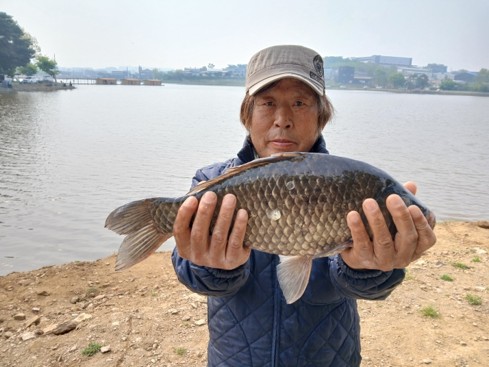 고잔낚시터 조황&방류 사진