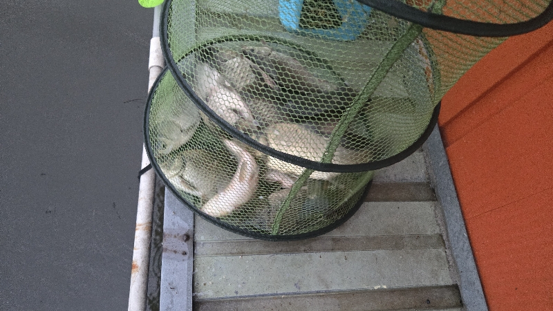 아산죽산지 5/3일 주말 대박조황