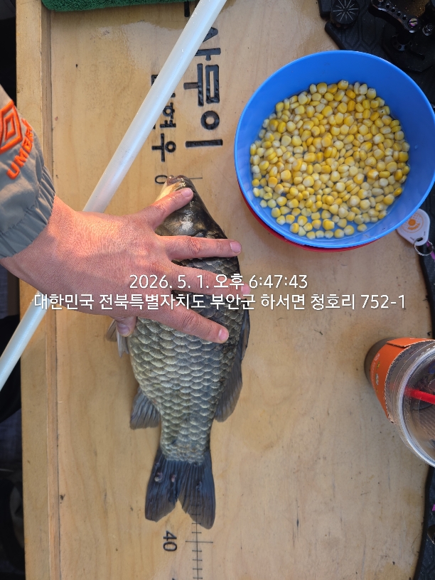 최대어