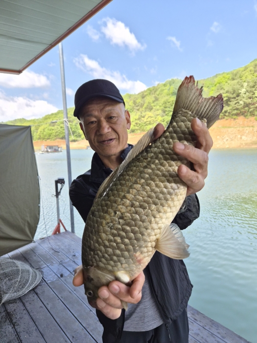 실리곡낚시터 4짜 조황입니다.