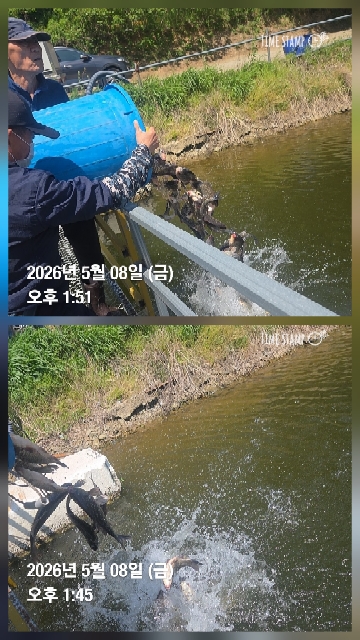 한터낚시터 5월8일방류 조항