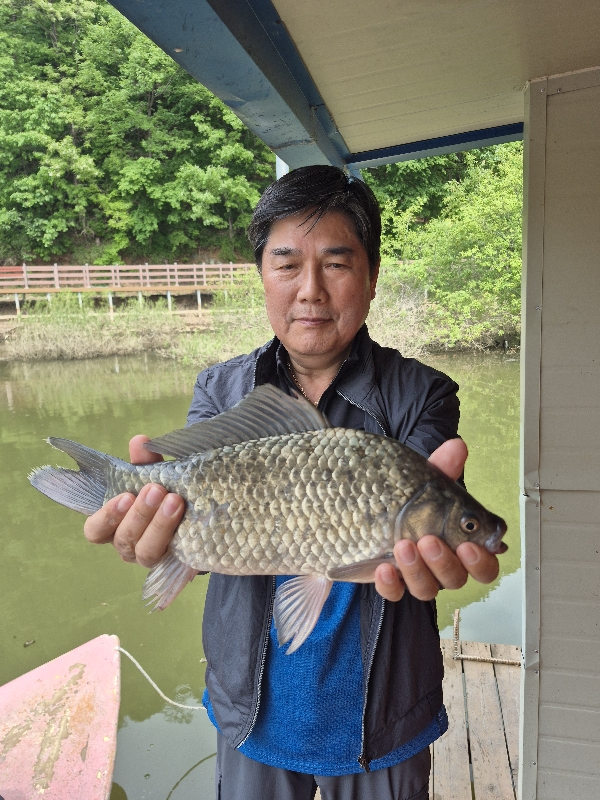 송전지호남집 4짜조황입니다