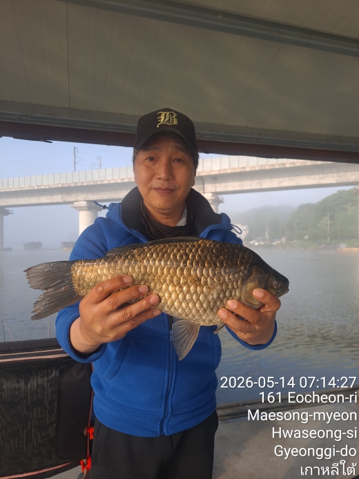 어천낚시터 토종붕어 4짜소식 (529번째)조황 정보