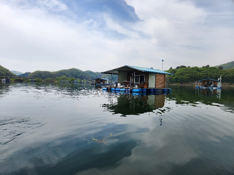 초평지 팔팔좌대