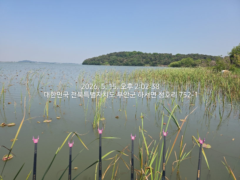 다시 주말입니다