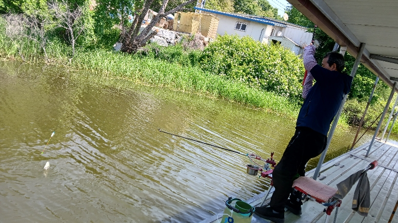 아산죽산지 5/16일 금요일 조황과 방류