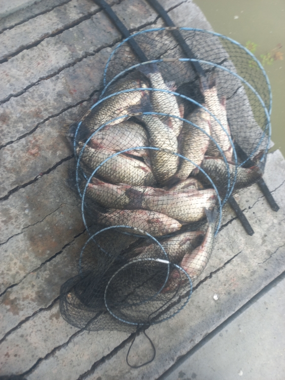 신동낚시터