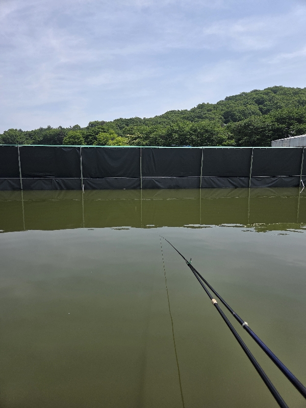 동림낚시터(2026.05.17)
