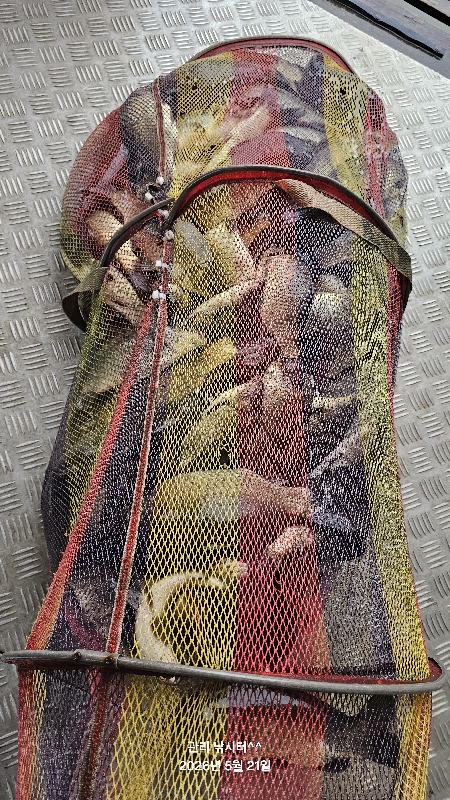 관리낚시터