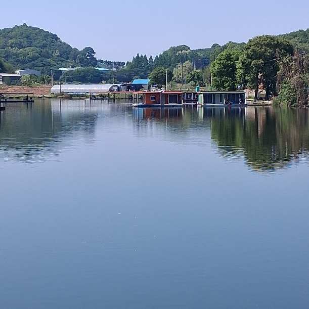 용대리낚시터 조황