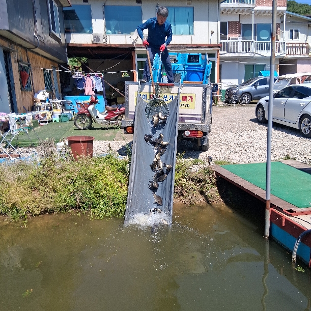 금요방류
