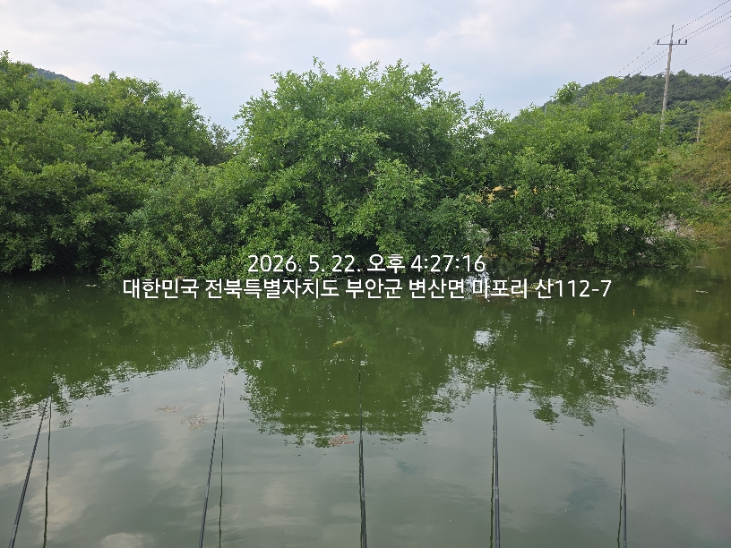 불금이 될수있을까요 ~^^