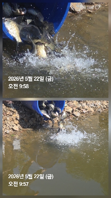 한터낚시터 5월22일방류