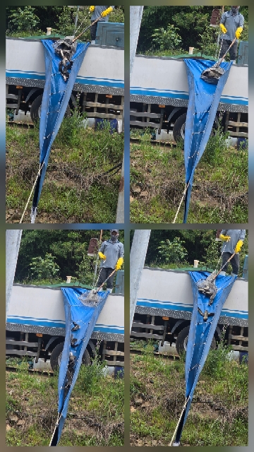 한터낚시터 5월23일 방류