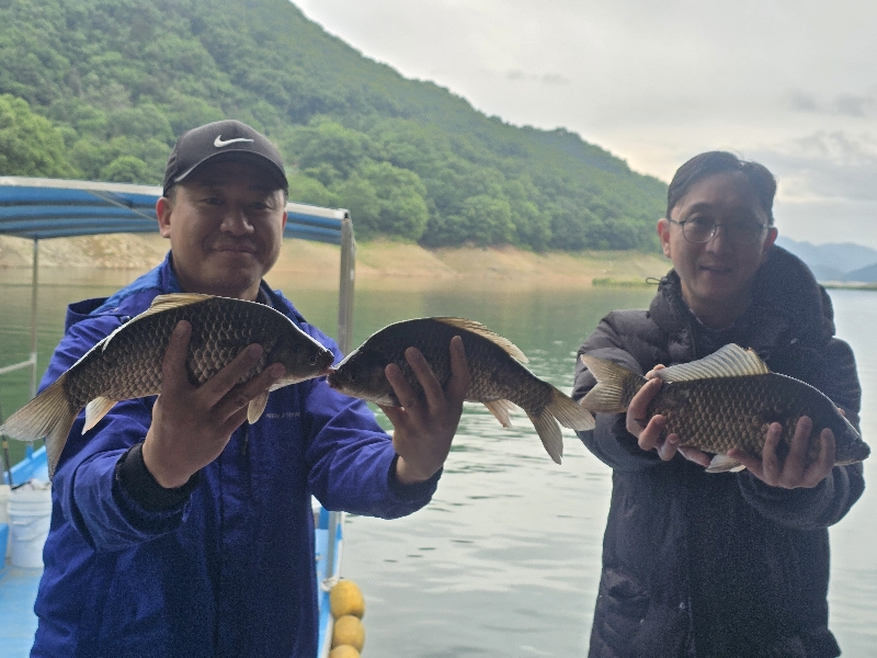 충주호 목벌 대물조황