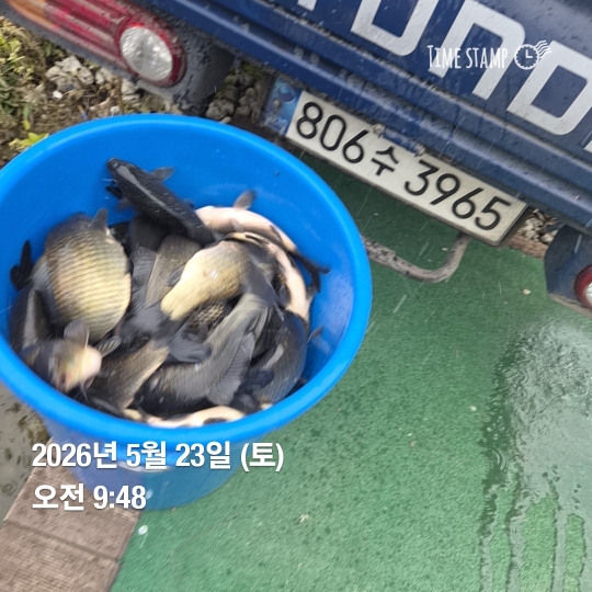 고기대잔치