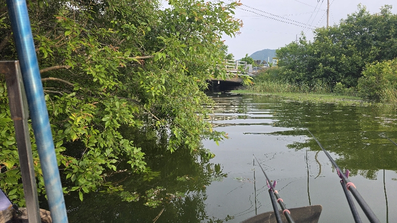 오늘은 최상류..