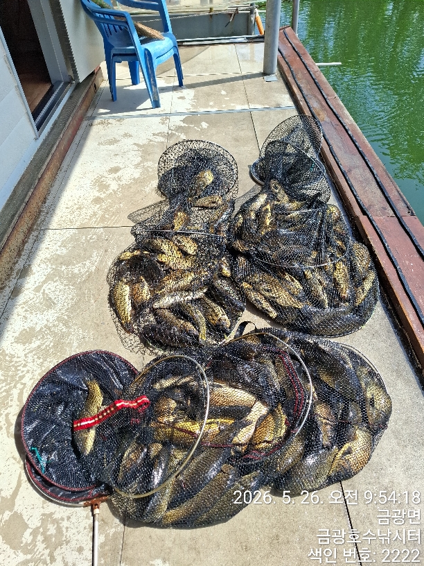 주중주말조황입니다.