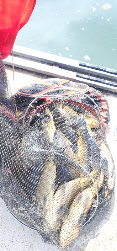 지평낚시터