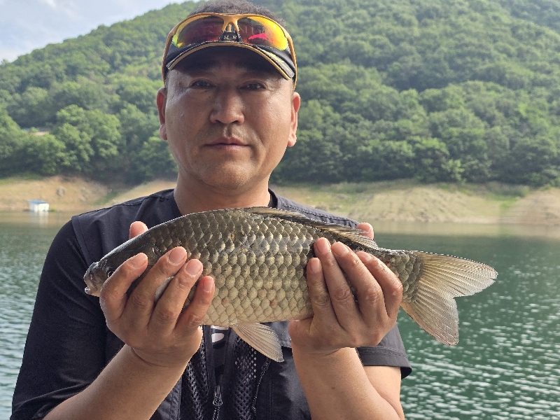충주호 목벌 대물조황정보
